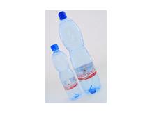 Великоборовская